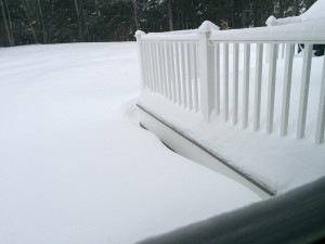 snowy yard